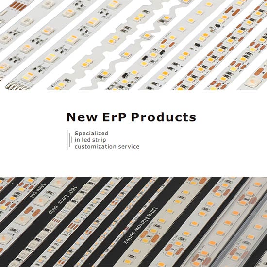 ErP   
