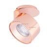   PLURIO-LAMP-R77-9W Warm3000 (COP, 36 deg, 2-2, 38V, 200mA) (Arlight, )