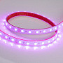 Герметичная RGB лента Ustrip LED60-5050-RGB-24V-14.4W-IP65H мультицветная