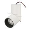    SP-UNO-R55-5W White6000 (WH, 24 deg) (Arlight, IP20 , 3 )