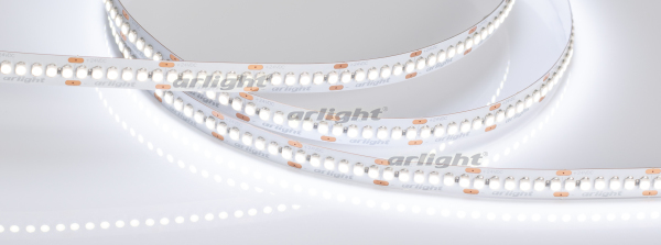 Лента RT6-3528-240 24V White6000 4x (1200 LED) (Arlight, 19.2 Вт/м, IP20)