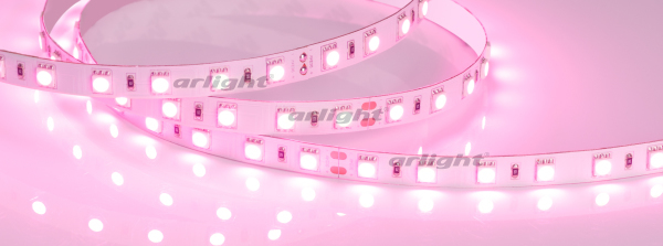 Лента RT 2-5000 24V Pink 2x (5060, 300 LED, LUX) (Arlight, 14.4 Вт/м, IP20)