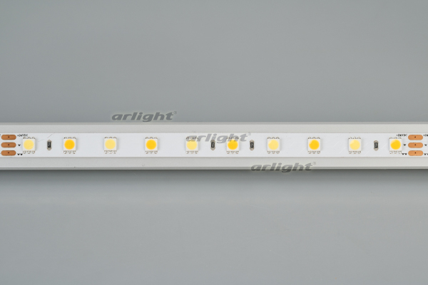 Лента RT 6-5000 24V White-MIX 2x (5060, 60 LED/m, LUX) (Arlight, 14.4 Вт/м, IP20)